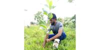 ১১ বছরে ৩৪ হাজার বৃক্ষরোপণ
